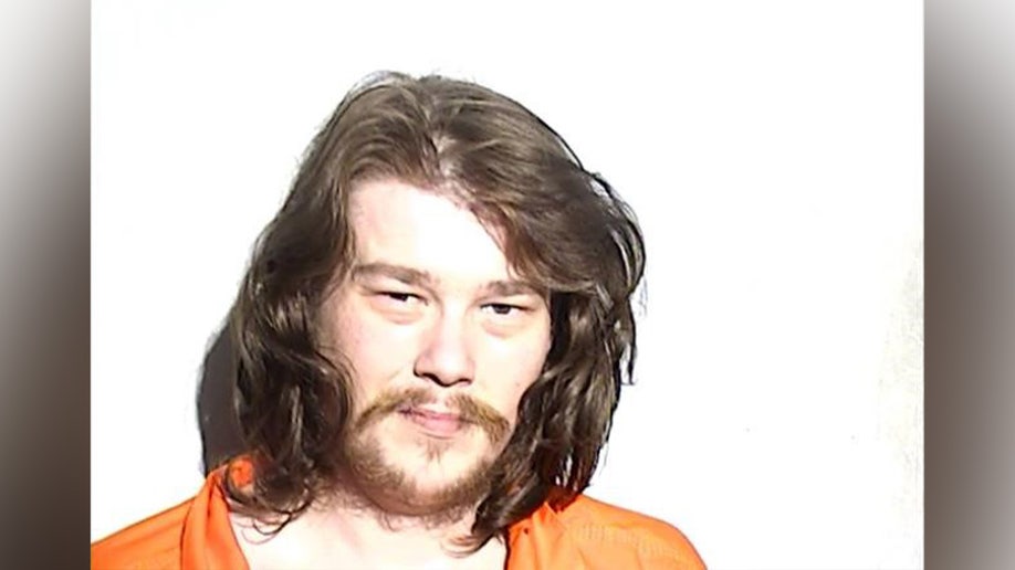 Chance Johnston's mugshot