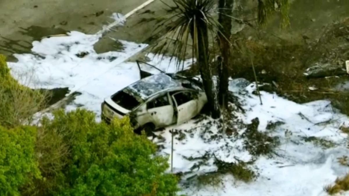 Small aircraft crash in Florida, burned out car