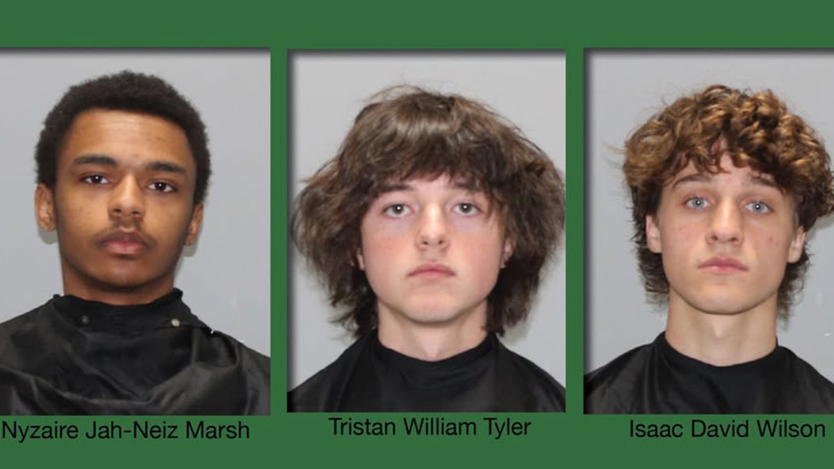South Carolina wildfire suspects