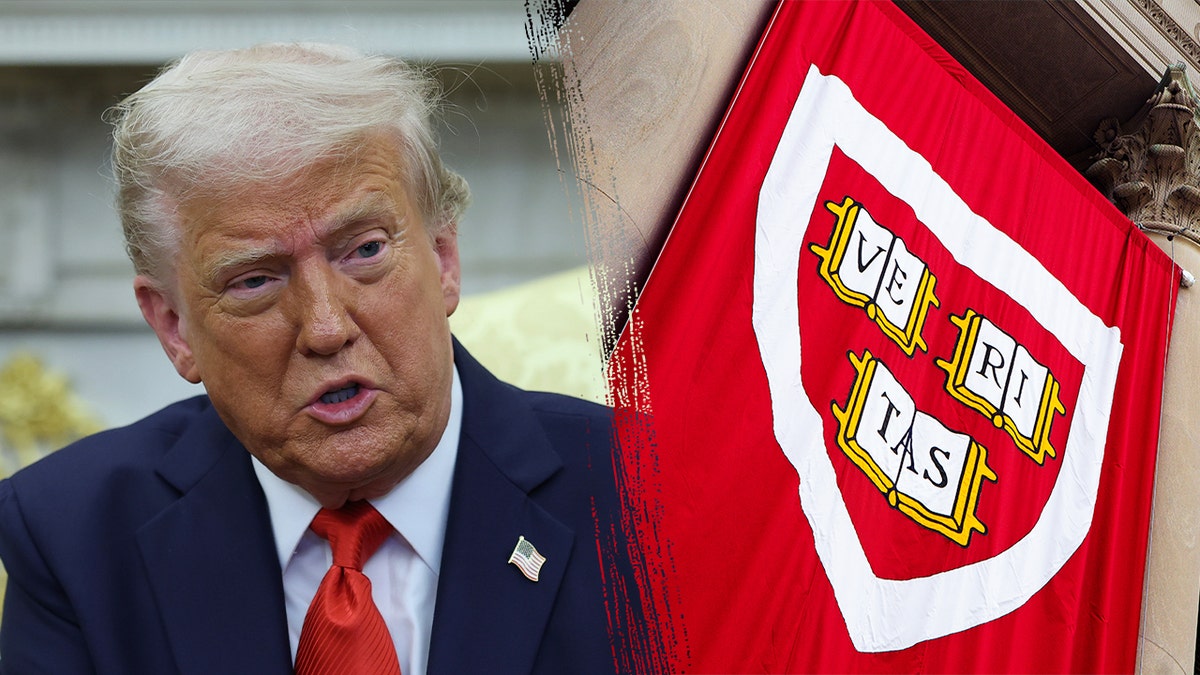 Trump/Harvard split