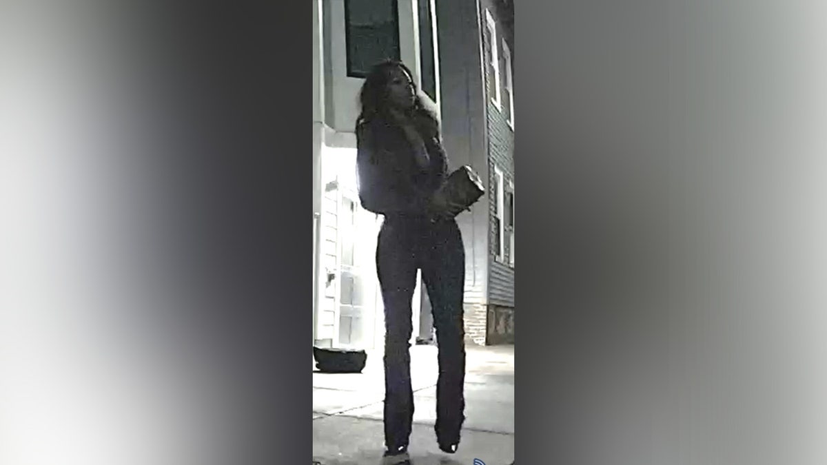 boston-pd-vandalism-suspect