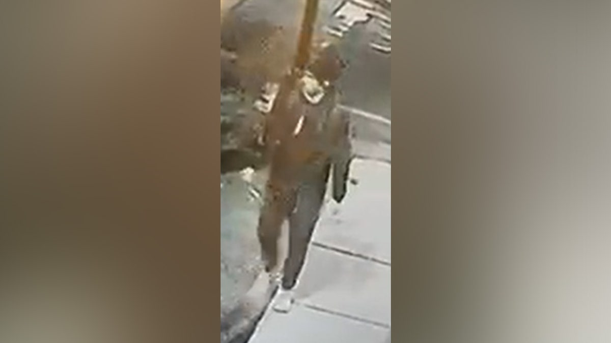 boston-tesla-vandalism-suspect