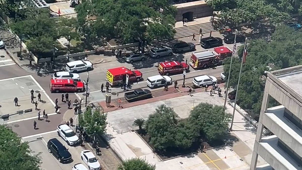 Police in downtown Houston