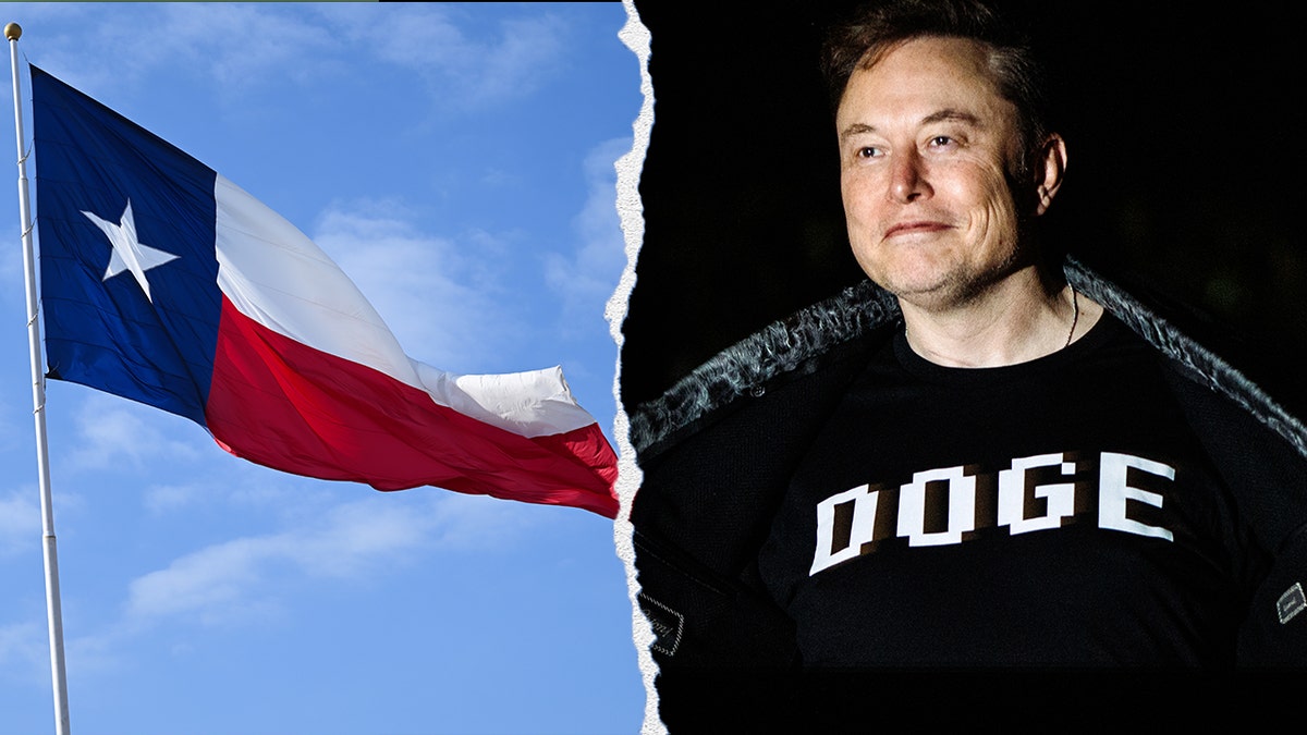 Texas flag and Elon Musk in a DOGE shirt