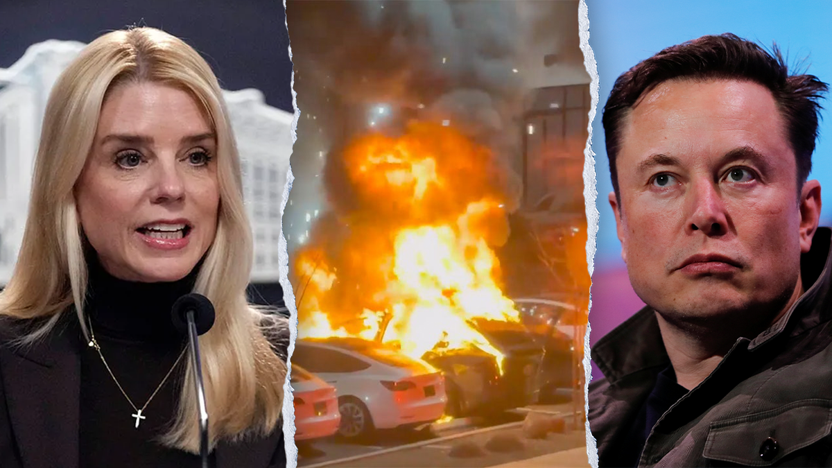 Bondi, burning Teslas and Musk