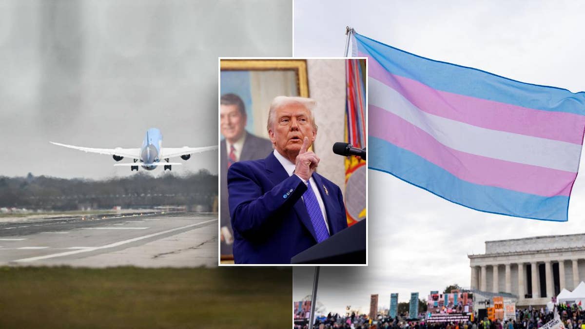 airplane, Trump, trans flag split photo