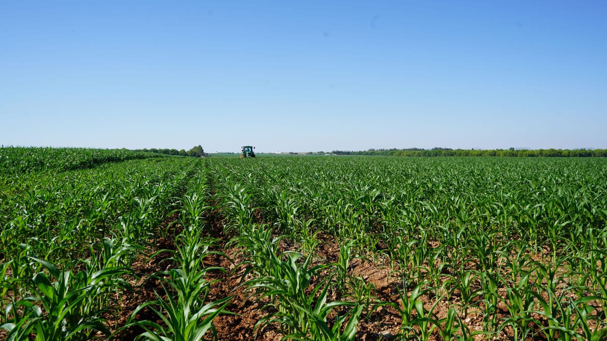 Farming in Orania