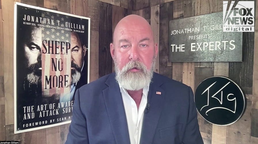 Former FBI agent says 'crime will go down' as Trump administration continues arresting illegal immigrants and gang members