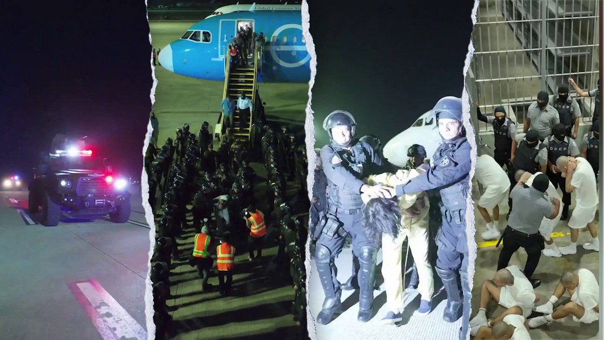 Split images of Bukele's photos
