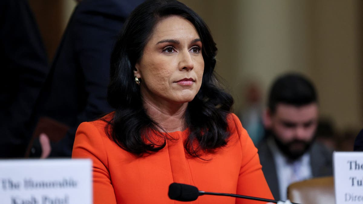 DNI Tulsi Gabbard pictured at threat assessment hearing