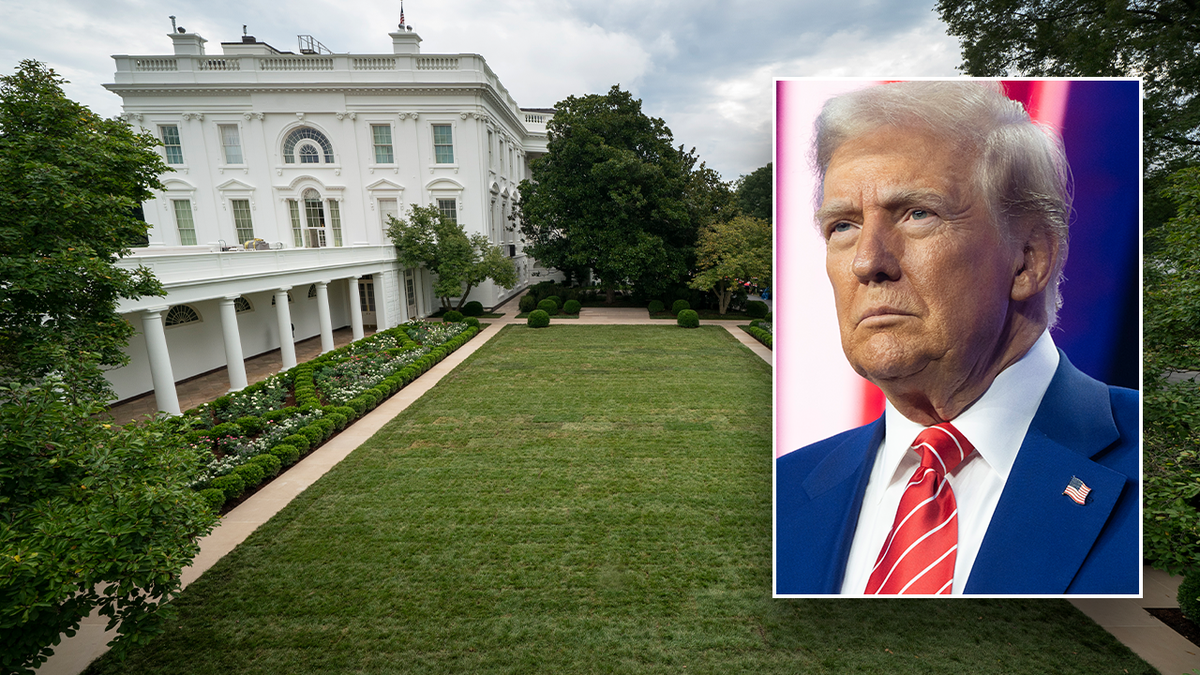 Trump and the rose garden 