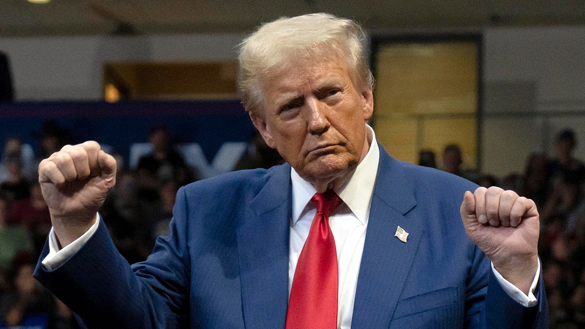 Donald Trump dances at rally in 2024