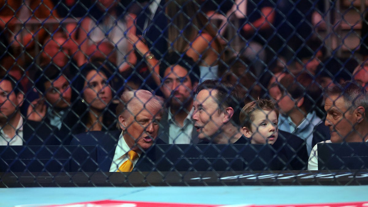 Trump and Musk at UFC 314