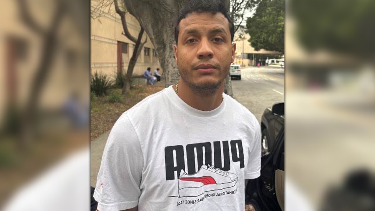 Yonaiker Gallegos arrest photo