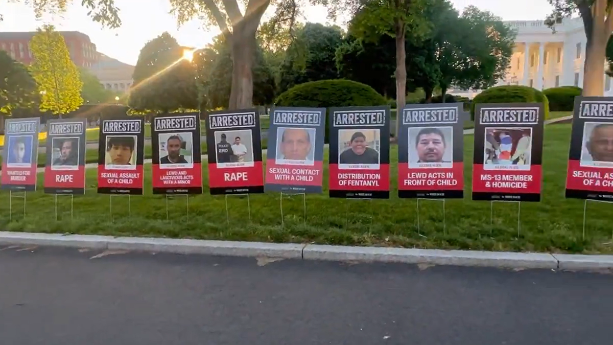 Screengrab of Leavitt video of illegal alien posters