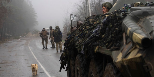 A dog is seen in the middle of a street as Ukrainian army soldiers take part of a military sweep to search for possible remnants of Russian troops after their withdrawal from villages in the outskirts of Kyiv. 