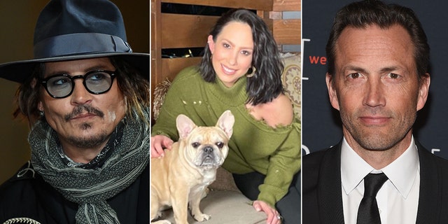 Johnny Depp, Cheryl Burke and Andrew Shue are among Hollywood stars with pets caught up in their divorces.
