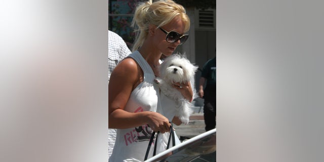 Britney Spears out with her dog in Los Angeles in 2004.