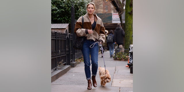 Amy Robach was seen walking her dog before the meetup with Andrew Shue.