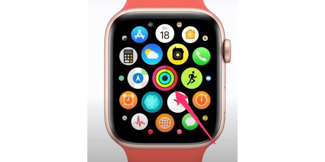 The Activity app on your Apple Watch.