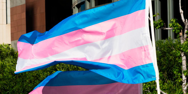 Transgender flag unfurled on pole. 