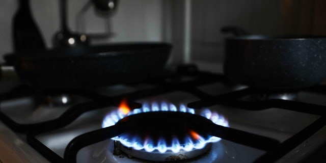 The Biden administration said it wouldn't ban gas stoves, but that it would initiate a process this year to hear from the public about the dangers of such appliances.