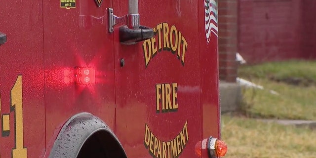 The Detroit fire chief praised the actions of the rescuer.
