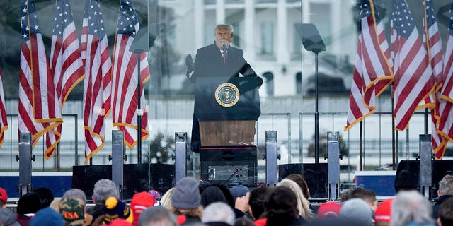 Former US President Donald Trump speaks to supporters from The Ellipse near the White House on January 6, 2021, in Washington, DC.