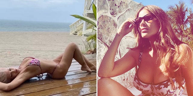 Celebrities including Donna D’Errico, Sofía Vergara and more took to Instagram to flaunt their fit physiques. 