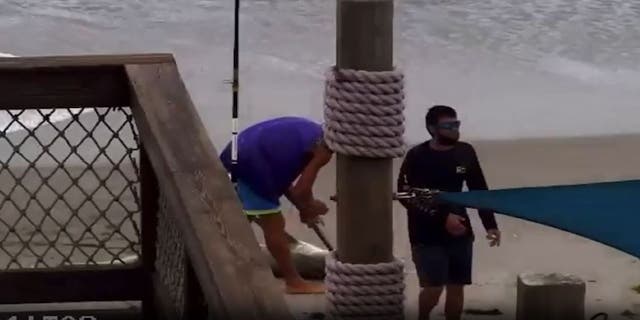 A Florida man reportedly bludgeoned a shark with a hammer and tossed it around before releasing it back into the ocean