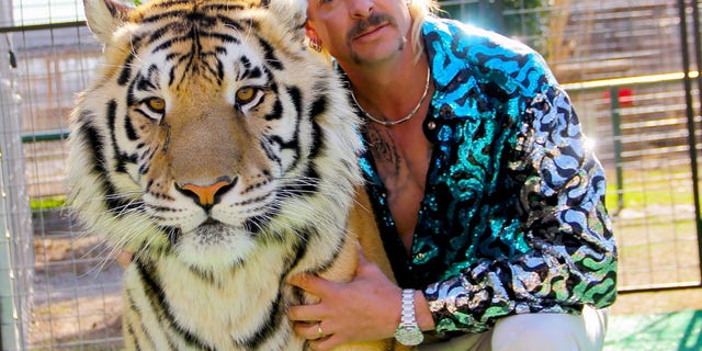 Carole Baskin spent much of 2020 releasing statements refuting the accusations made in the series by her chief rival Joe Exotic, also known as Joseph Maldonado-Passage, as well as Lewis' kin.