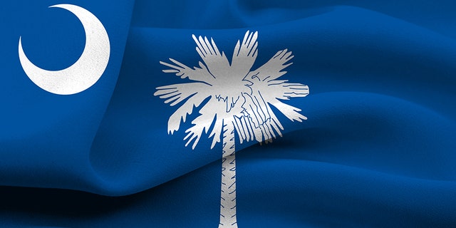 The state flag of South Carolina.
