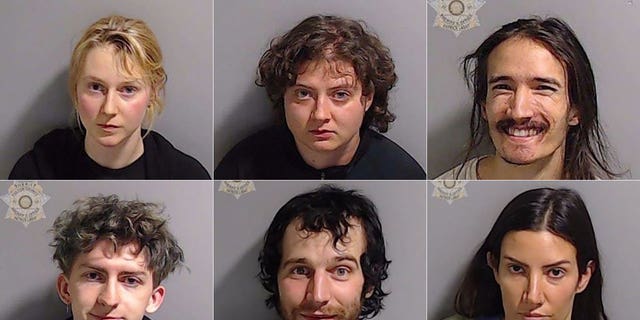 Fox News Digital obtained six mugshots for the individuals charged with domestic terrorism, other offenses for the unrest in downtown Atlanta overnight. They are from top left to right, clockwise: Nadja Geier, 24, of Nashville, Tennessee; Madeleine Feola, 22, of Spokane, Washington; Ivan Ferguson, 23, of Nevada; Graham Evatt, 20, of Decatur, Georgia; Francis Carrol, 22, of Kennebunkport, Maine; and Emily Murphy, 37, of Grosse Isle, Michigan. 