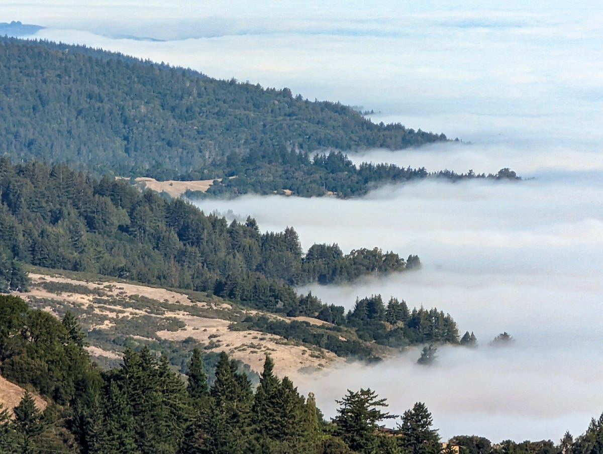 Fog laps up against the sides of tree-covered mountains