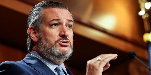 U.S. Senator Ted Cruz (R-TX) addresses a news conference on Capitol Hill in Washington, U.S., October 6, 2021. Picture taken October 6, 2021. 