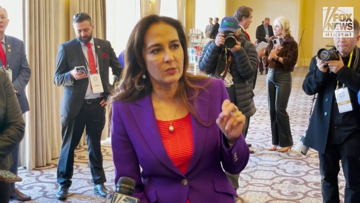 After falling short to the incumbent, Harmeet Dhillon warned that the RNC can't have a "perpetual chairman...who never leaves"