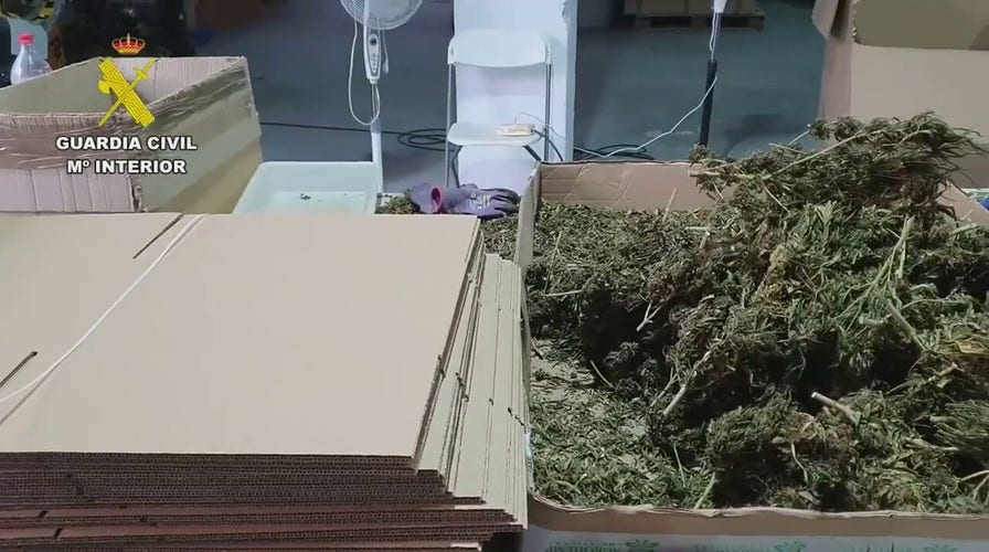 Spanish police seize largest ever haul of cannabis
