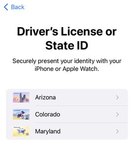 Driver's License program in Apple Wallet