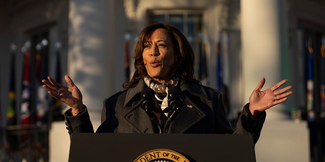Vice President Kamala Harris speaks on the South Lawn of the White House December 13, 2022 in Washington, DC. 
