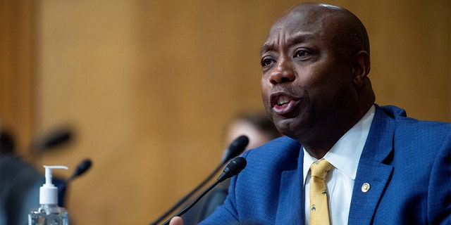 Sen. Tim Scott, R-S.C., questions Chris Magnus as he appears before a Senate Finance Committee hearing on his nomination to be the next U.S. Customs and Border Protection commissioner in the Dirksen Senate Office Building on Capitol Hill in Washington, D.C., Oct. 19, 2021.
