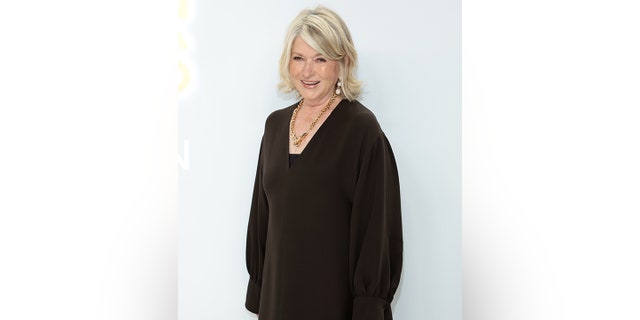 Martha Stewart was roasted by fans in her comment section who claim she is not being honest about her skin-care history.