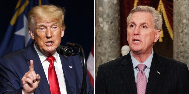 House Speaker Kevin McCarthy says he will "look at" the possibility of expunging impeachments against former President Donald Trump.