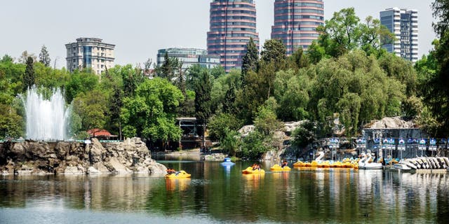 Paddleboats on the lake at Bosque de Chapultepec forest park.