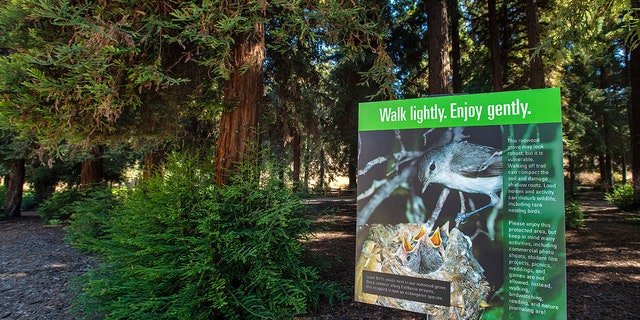 A sign informs visitors to stay on the trails and be considerate of wildlife living in and around the three-acre grove of coastal redwoods, the largest grove of these trees in Southern California, in Carbon Canyon Regional Park.