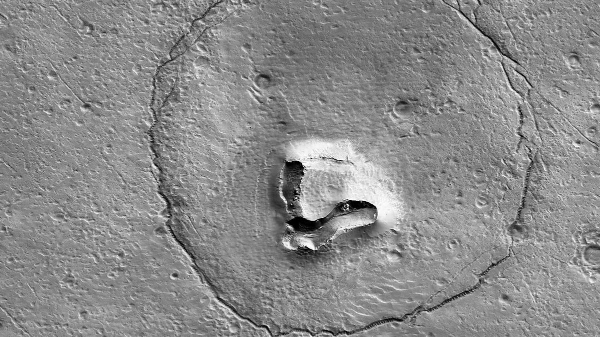 An orbiter view of a Mars surface formation in black and white. There's a round circular line, two eye-like divots and a raised portion that looks like a snout. The whole thing resembles a bear's face.