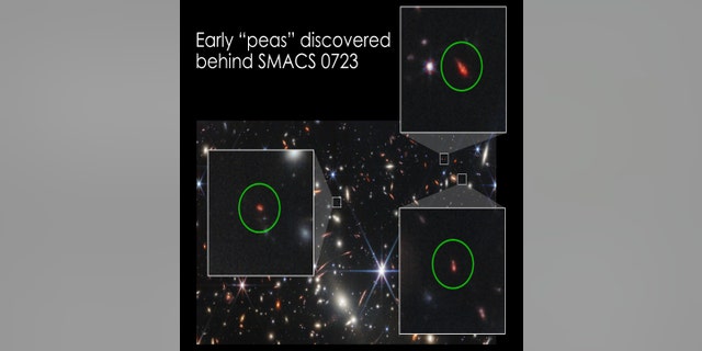 A trio of faint objects (circled) captured in the James Webb Space Telescope’s deep image of the galaxy cluster SMACS 0723 exhibit properties remarkably similar to rare, small galaxies called "green peas" found much closer to home.