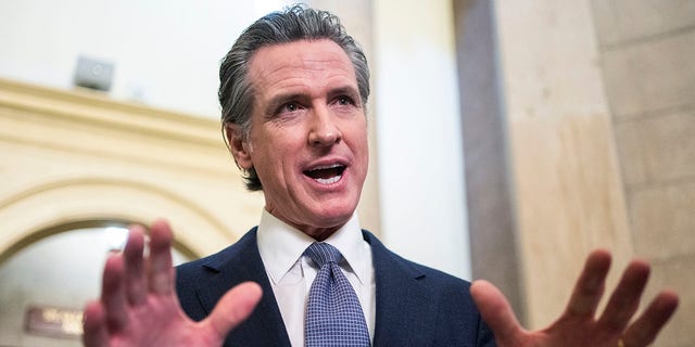 California Gov. Gavin Newsom said the Second Amendment is becoming a "suicide pact" following a series of mass shootings in the state.