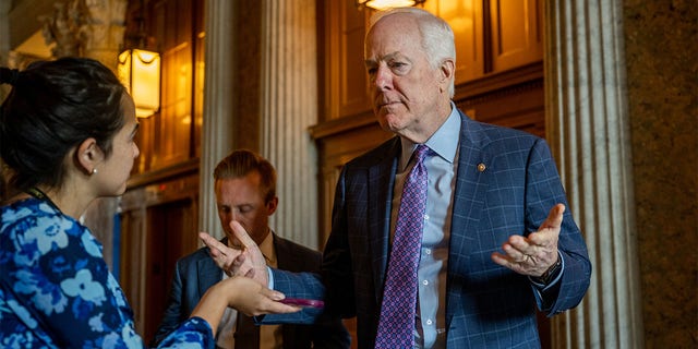 Sen. John Cornyn (R-TX) 