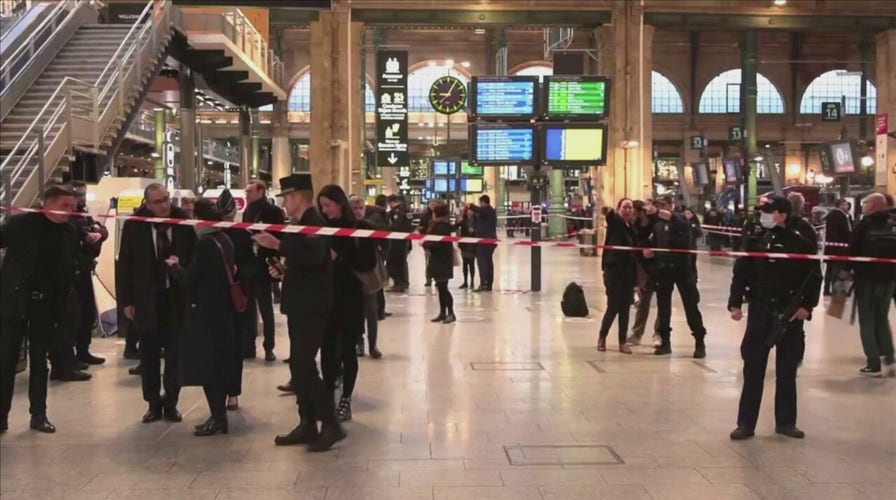 Knife-wielding man in Paris train station wounds several