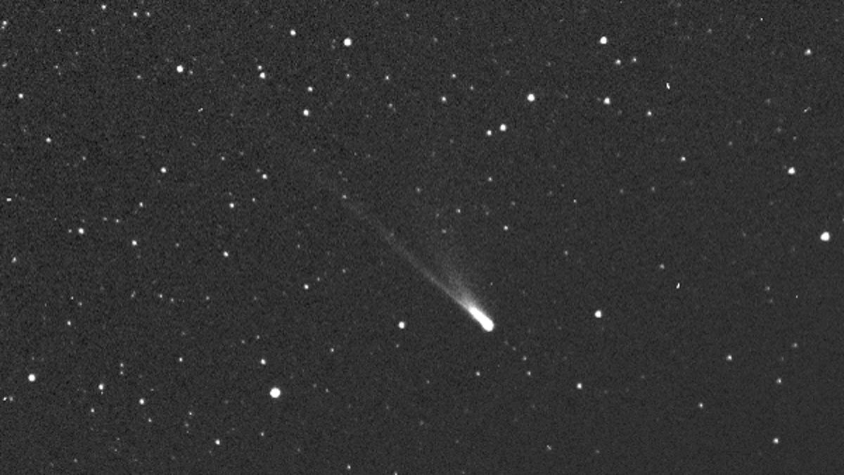 Comet 96P/Machholz soaring against a backdrop of stars